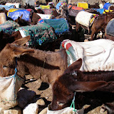 Morocco - Souq%252520Day%252520Parking%252520Lot.JPG