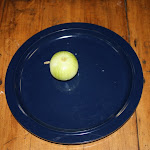 IMG_4845.JPG