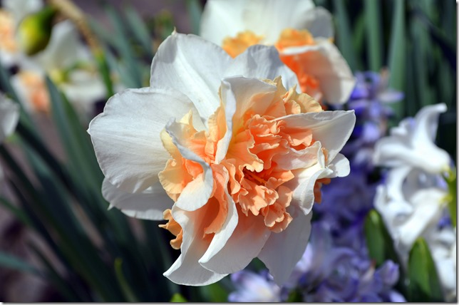 DSC_0035 DSC_0035