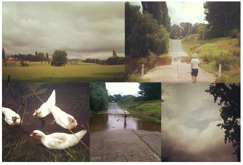 [after%2520the%2520rain%2520feb%25202012%255B3%255D.jpg]