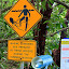 All Sorts Of Fun Stuff At This Beach - Oak Beach, Australia
