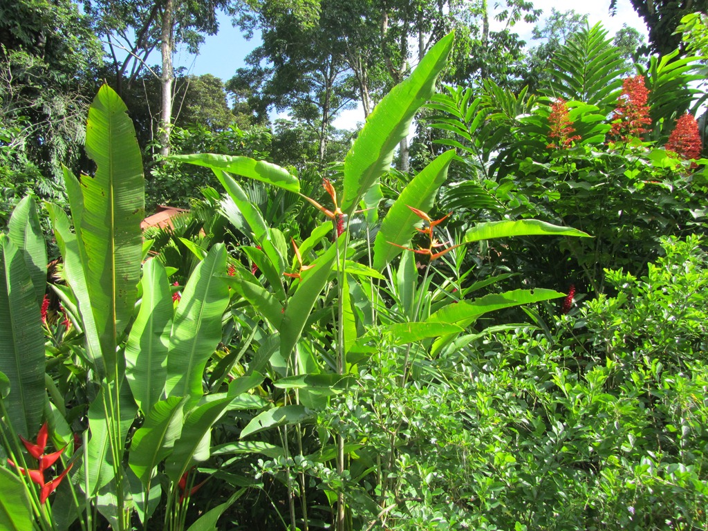 [Garden%255B3%255D.jpg]