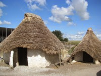 IMG_3316 IMG_3316