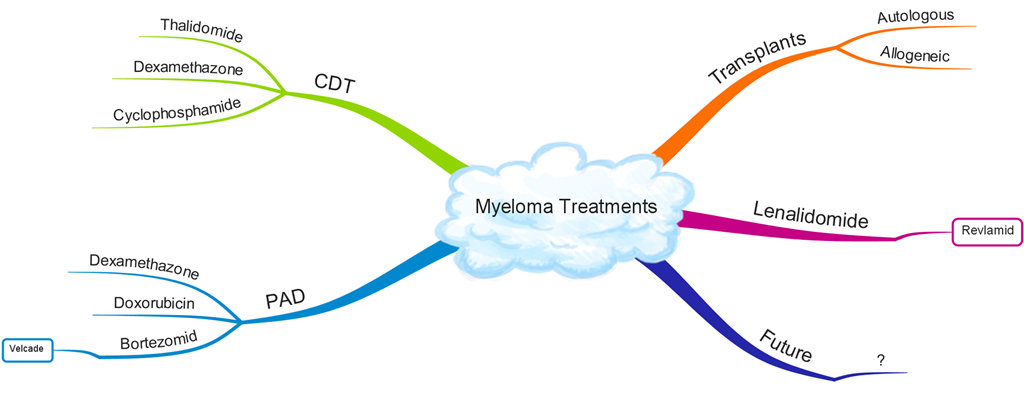 [Myeloma%2520Treatments%2520mind%2520map_High%255B4%255D.png]