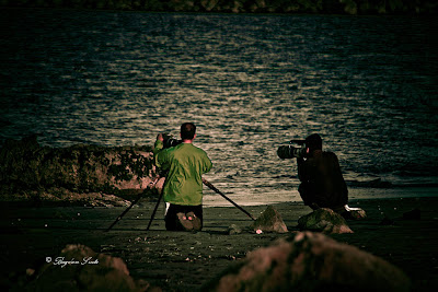 20110403_Half Moon Bay_IMG_6583.jpg