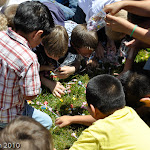 100502-STA-Festival-183.jpg