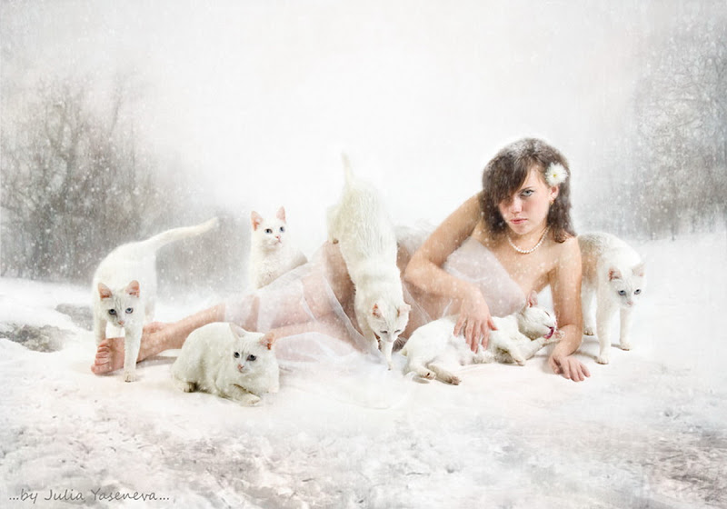 Girl Of White Cats, Magic Beauties 3