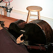 My bass Guido....jpg