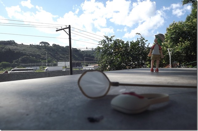 DSCF0615 DSCF0615