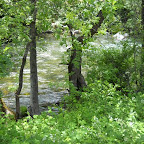 River in front of house.jpg