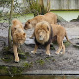 Allwetterzoo Münster