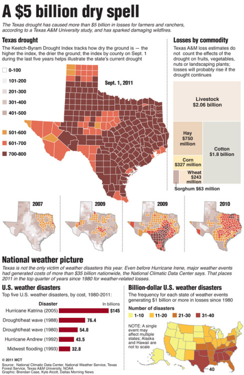 A $5 billion dry spell in Texas. The 2011 Texas drought has caused more than $5 billion in losses for farmers and ranchers, according to a Texas A&M University study, and has sparked damaging wildfires. Brendan Case and Kyle Alcott, Dallas Morning News via chicagotribune.com
