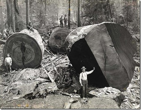 historical-photos-pt3-california-lumberjacks2 historical-photos-pt3-california-lumberjacks2