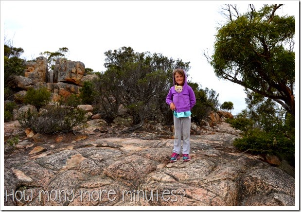 How Many More Minutes? ~ Cape Tourville Lighthouse at Freycinet
