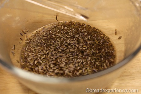 [peach-lavender-butter-0016%255B1%255D.jpg]