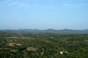 IMG_0910.JPG