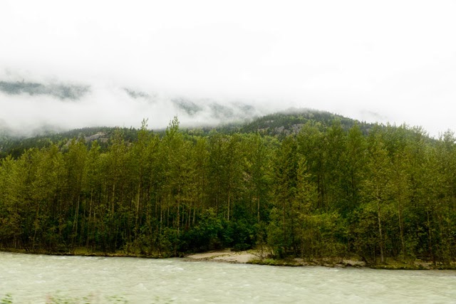 [DSC_56237.jpg]