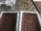 Pecan bars, pine nut bars and and pinwheel cookies maade by Sam.
