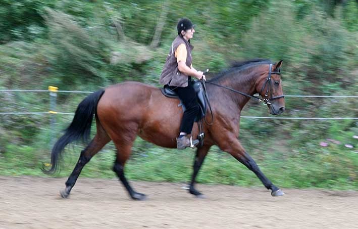 [IMG_3888%255B4%255D.jpg]