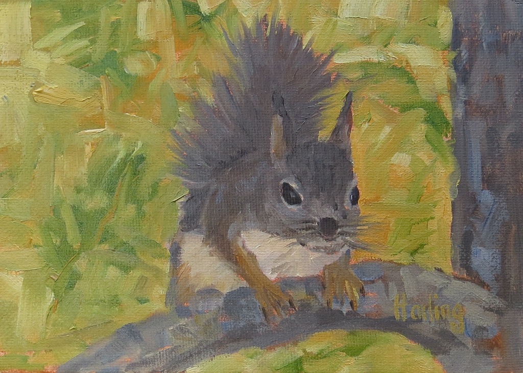 [Douglas%2520Squirrel%2520Crystal%2520Harling%255B7%255D.jpg]