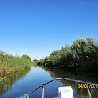 IMG_6199.JPG