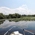 DSCN3055.JPG