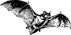 papapishu_bat_2 papapishu_bat_2