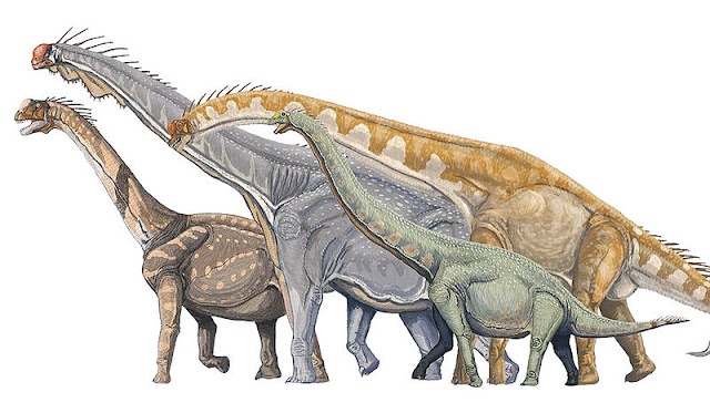 sauropodes.jpg