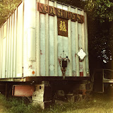 "Backyard 1" - copyright Ashley Bethard