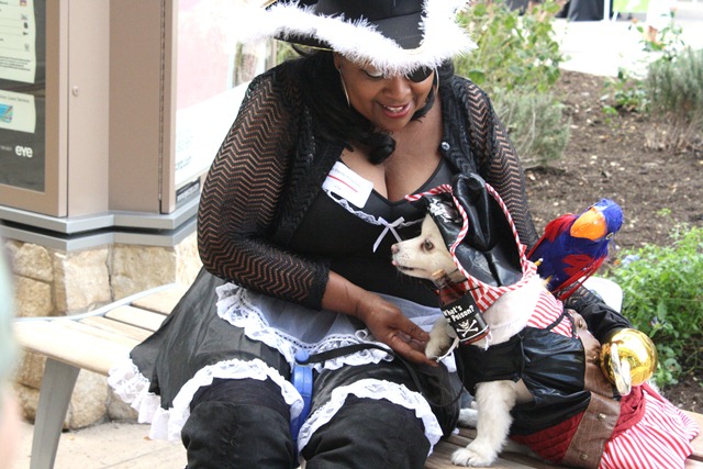 [Dogtoberfest%2520043%255B3%255D.jpg]