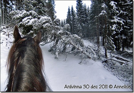 ardvinna-30-12-2011_02