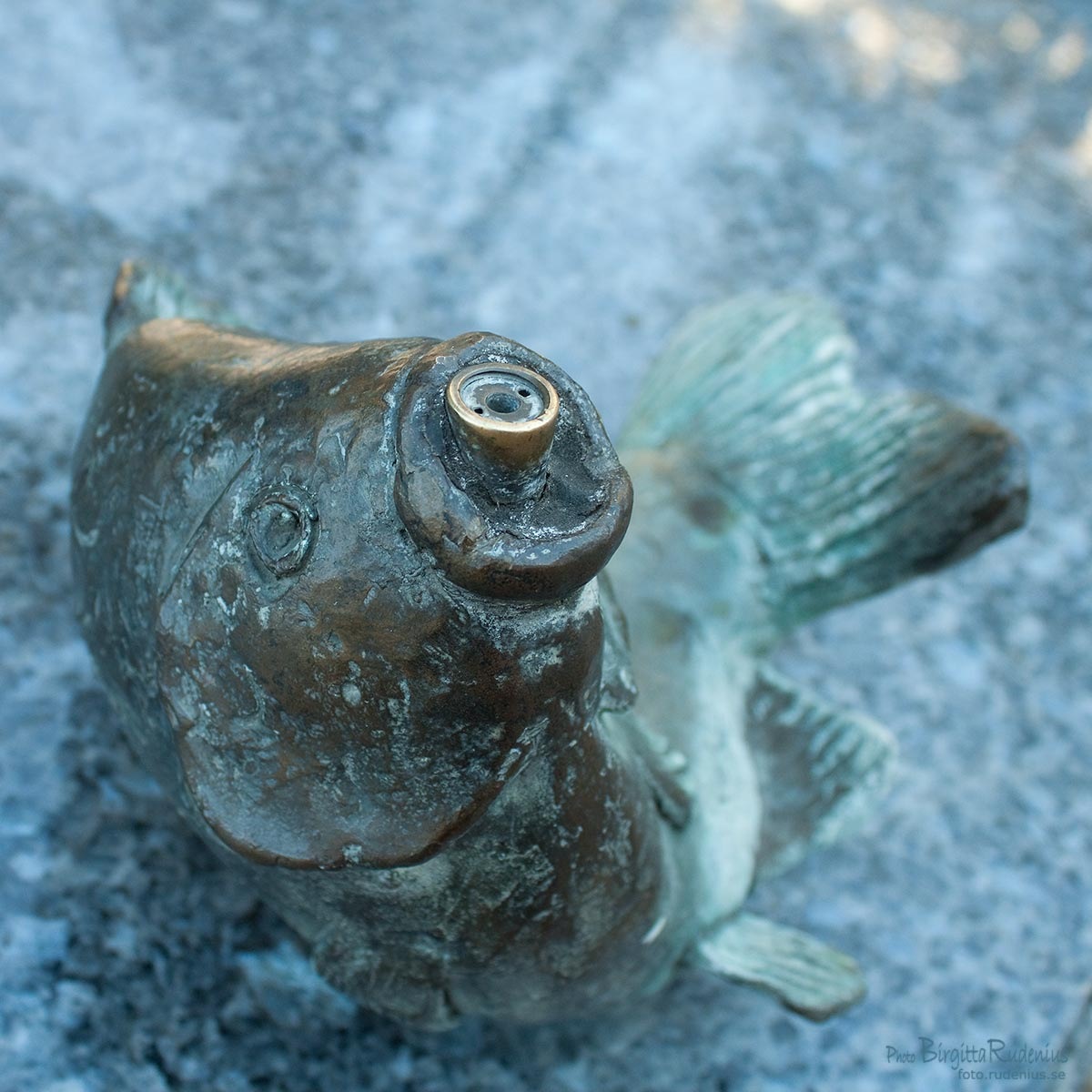 [statue_20110911_fish%255B2%255D.jpg]