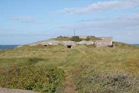 DSC_0478.JPG