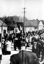 Obrázok 029 Obrázok 029