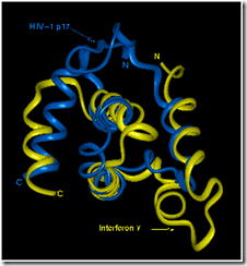 HIV p17 protein HIV p17 protein