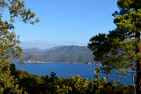 DSC_0260_2.JPG
