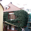 P1130022.JPG