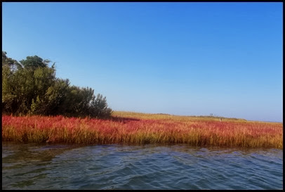 Assateague AM Kayak 003