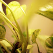P1065356.JPG