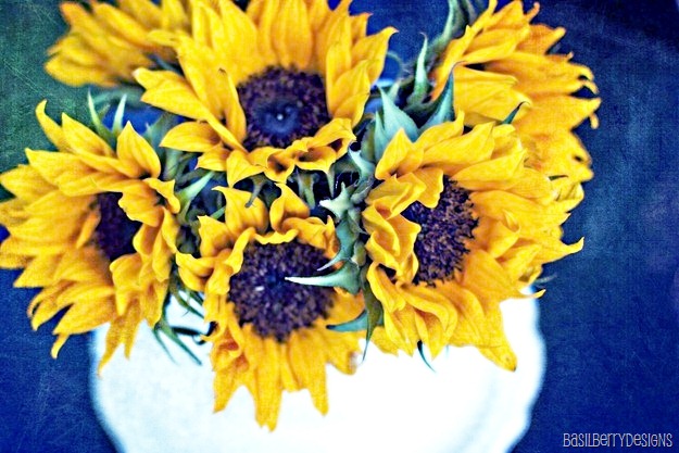 [summersunflowers3_edited-1_thumb%255B2%255D_e%255B15%255D.jpg]