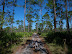 One of many scenic bike trails in Southern Florida. By dno1967b