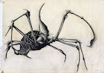 Illustrations