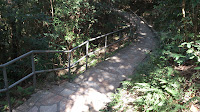 DSC_0530.jpg Photo