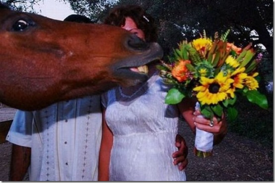 viral-picdump-lol-2dd1e9