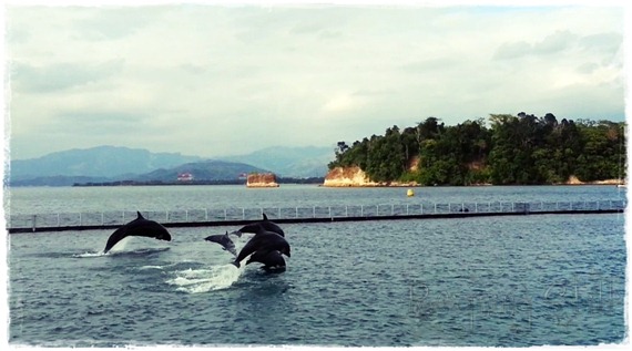 20130308_162032_144505