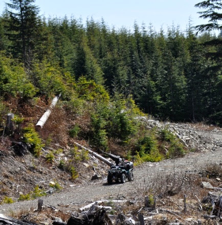 DSC_0081.jpg DSC 0081