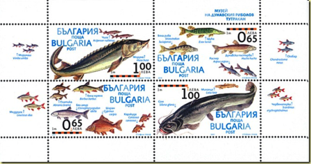 [Bul%25201%255B5%255D.png]