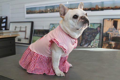 Do you have any idea why this dress is called the Fox Ruffle Tee?  Yes, it has ruffled sleeves and a cute red and white plaid skirt.