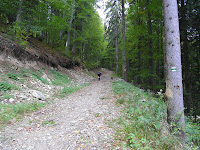 SAM_6469.JPG Photo