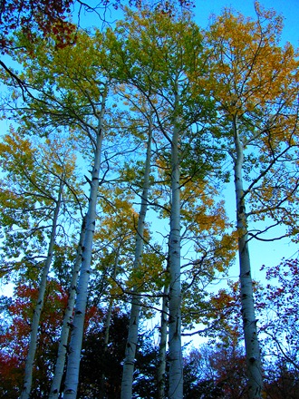 [IMG_62698.jpg]